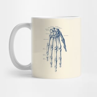 Down Facing Hand Skeletal Diagram - Anatomy Print Mug